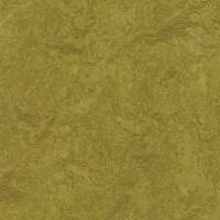 Мармолеум Forbo рулонный 3239 olive green