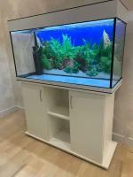 Аквариум 200 л AquariumBest с тумбой цвет Белый 101х36х58 (ДхШхВ)