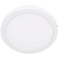 Светодиодный LED светильник даунлайт круглый Ecola 24W 220V 6500K 300x32 DRSD24ELC