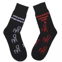 Носки MoscowSocksClub