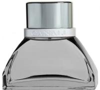 Canali Winter Tale парфюмированная вода 100мл(Prestige Edition)