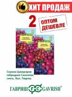 Цинерария гибридная Симпатия, смесь, 8шт, Гавриш(2уп)