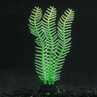 Растение силиконовое аквариумное светящееся в темноте 4 5 х 15 см зелёное