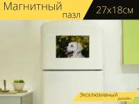 Магнитный пазл "Голова золотистого ретривера, яркий, внимательный" на холодильник 27 x 18 см