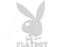 Наклейка логотип PLAYBOY (16x11см, белая) (#647)