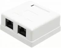 Розетка настенная TWT TWT-SM2-4545-WH 2 порта RJ-45, категории 5е, белая