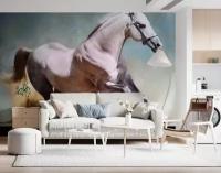Фотообои Белый конь 260x347 (ВхШ), бесшовные, флизелиновые, MasterFresok арт 17-4431