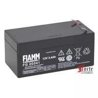 Fiamm FG 20341