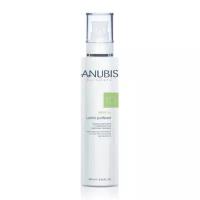 Балансирующий очищающий лосьон Regul 250 мл ANUBIS Regul Oil Lotion Purificant 250 мл