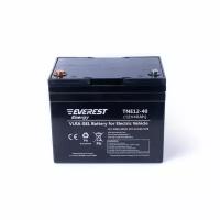Тяговая аккумуляторная батарея EVEREST Energy TNE 12-40