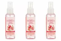 DEOPROCE Мист для лица WELL-BEING DEOPROCE HYDRO FACE MIST POMEGRANATE, 100 мл, 3 шт