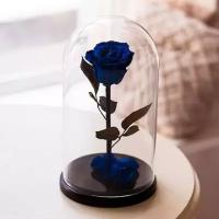 Роза в колбе Premium Синяя