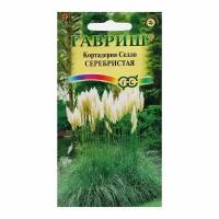 Семена Кортадерия Серебристая "Пампасная трава", 8 шт
