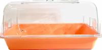 Клетка-террариум Зооэкспресс, для грызунов с метал. дверкой, 42х30,5х22,5 см, большой, оранжевый