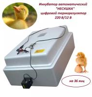 Инкубатор автоматический "Несушка" на 36 яиц, 220 В/12 В, цифровой терморегулятор (45)