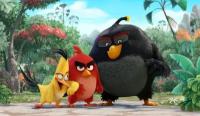 Деревянные пазлы для детей Энгри Бердс, Angry Birds Бомб и Ред Детская Логика