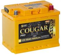 Аккумулятор автомобильный Cougar PRO 60 А/ч 600 А обр. пол. Евро авто (242x175x190)