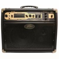 Peavey Ecoustic E110