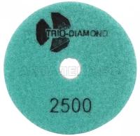 Алмазный гибкий шлифовально-полировальный круг Trio-Diamond "Черепашка" 100 мм, № 2500