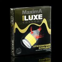 LUXE Презервативы «Luxe» Maxima Аризонский Бульдог, 1 шт