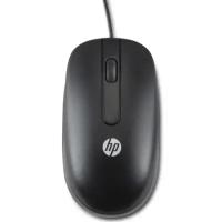 Мышь HP QY778AA черный оптическая (1000dpi) USB (2but)