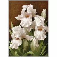 Алмазная мозаика "Iris ILLumination II" 29.5x20.5 см, 24 цветов