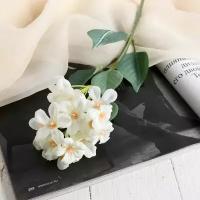 Цветы искусственные "Цветки Сакуры" 3.5х43 см, белый