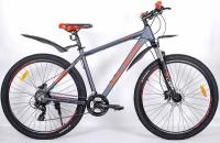 NRG BIKES Lion 29