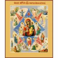 Икона Божья Матерь Неопалимая Купина, арт MSM-6267
