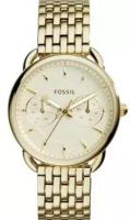 Наручные часы Fossil Tailor ES3714