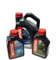 AMSOIL Shock Therapy FORK Oil 10W 0.946л