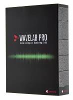 Steinberg WaveLab Pro Программа для редактирования многоканального аудио, мастеринга и создания аудио-CD, DVD