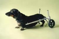 Инвалидная коляска (тележка) для животных. Размер M 5-15 кг