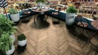 Alpine Floor Parquet Premium Макадамия ECO 19-10