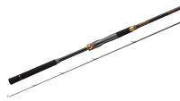 Спиннинг Daiwa Morethan Branzino AGS (94M/MH)