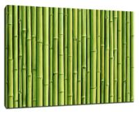 Картина Уютная стена "Фон из зеленого бамбука" 90х60 см