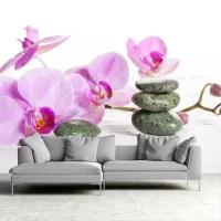 Фотообои цветки розовой орхидеи и камни 275x417 (ВхШ), бесшовные, флизелиновые, MasterFresok арт 10-207