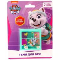 Тени детские Paw Patrol " Эверест", 6 цветов