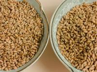 Пшеница пророщенная, "ПикАктив", 1 кг