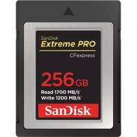 Карта памяти SanDisk Extreme Pro CFexpress Type B 256GB R1700/W1200MB/s (SDCFE-256G-GN4NN)