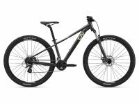 Велосипед Giant Tempt 4 29" (2022) (Велосипед Giant 22" Tempt 29 4, M, Черный, 2201121125)