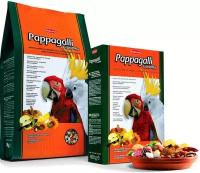 Padovan Основной корм для крупных попугаев Padovan GrandMix Pappagalli, 600 гр (2 штуки)