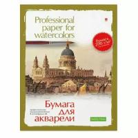 Папка для рисования акварелью Альт А4 8 листов, 888157