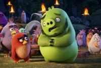 Пазлы Энгри Бердс, Angry Birds и Фергал свин Детская Логика