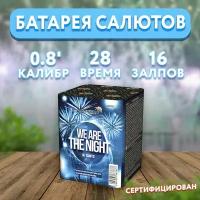 Салют фейерверк "WE ARE THE NIGHT", 16 залпов GP497/2