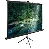 Экран Cactus 165x220см TriExpert CS-PSTE-220x165-BK 4:3 напольный рулонный черный