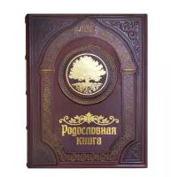 Родословная книга Семейная реликвия (кожа)