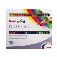 Пастель масляная художественная Pentel Oil Pastels 36 цветов круглое сечение PHN4-36/181303 (1)