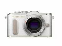 Olympus E-PL8 White Body