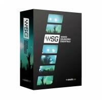 WAVES Sound Grid Essentials комплект плагинов